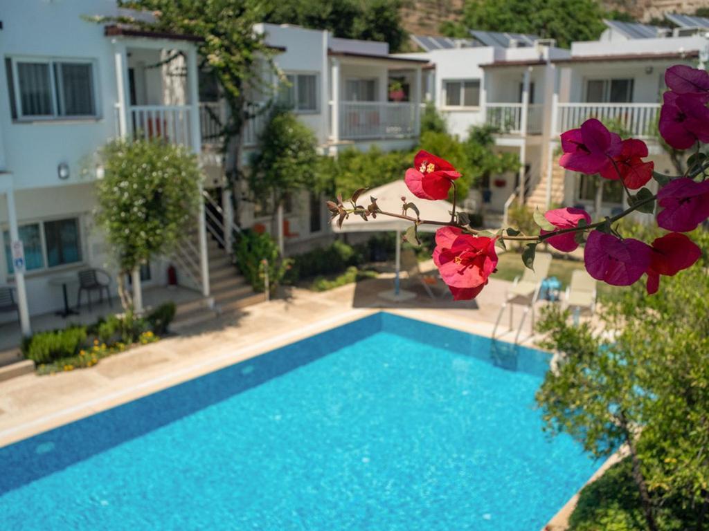 Hotel גומושלוק מראה חיצוני תמונה